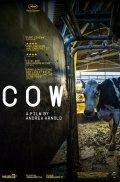 Locandina di Cow