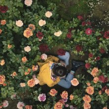 Il cielo è ovunque: una sequenza