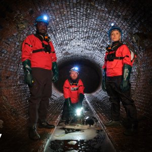 Professor Wolfe: un'immagine della serie