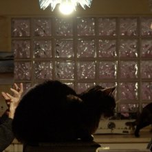 PerdutaMente: un'immagine