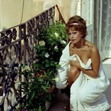ieri, oggi, domani: Sophia Loren in una scena del film