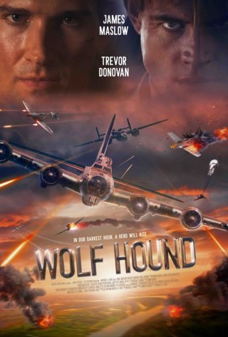 Locandina di Wolf Hound