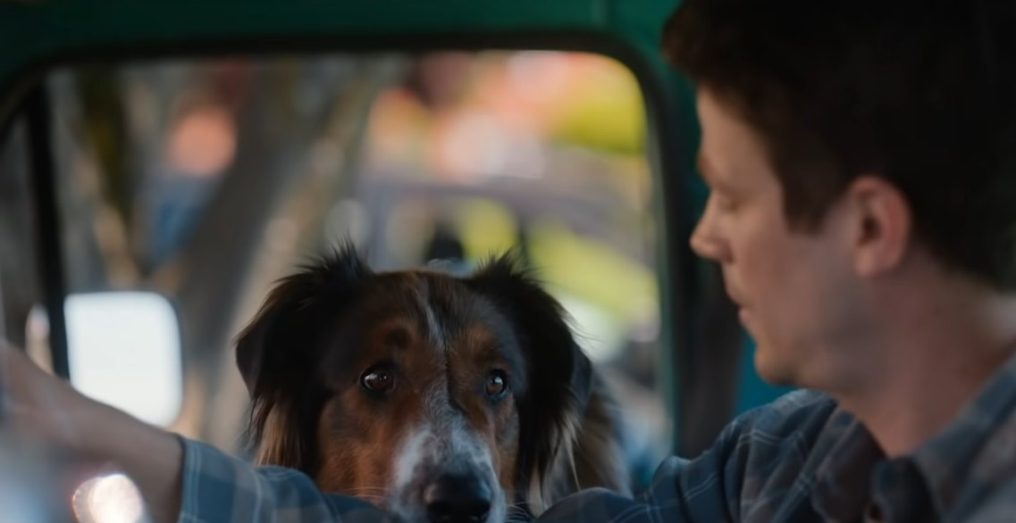 Rescued by Ruby Grant Gustin nel trailer del film Netflix