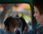 Rescued by Ruby: Grant Gustin nel trailer del film Netflix