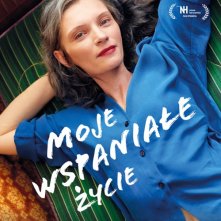 Locandina di La mia vita meravigliosa