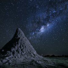 Un paradiso da salvare - Racconti di un ecosistema: una sequenza del documentario