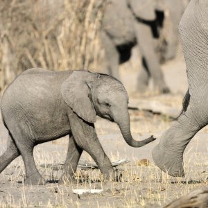 Un paradiso da salvare - Racconti di un ecosistema: una sequenza
