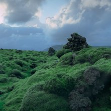 The Voyage of Time - Il cammino della vita: lava raffreddata e ricoperta di muschio