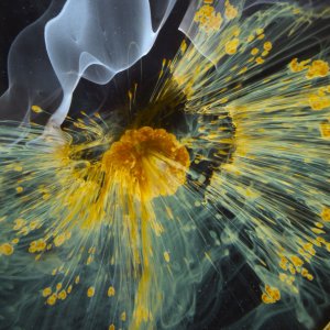 The Voyage of Time - Il cammino della vita: un'immagine