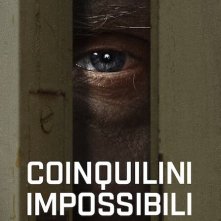 Locandina di Coinquilini impossibili