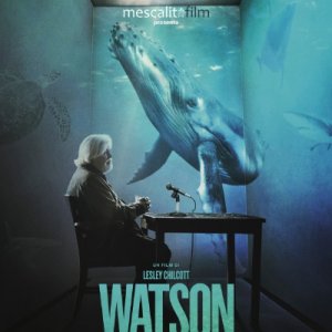 Locandina di Watson - Il pirata che salva gli oceani