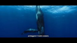 Watson - Il Pirata Che Salva Gli Oceani - Trailer Sottotitolato