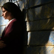 Il male non esiste: una foto