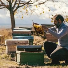 Il male non esiste: un frame del film