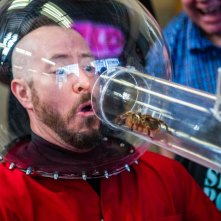 Jackass Forever: una prova con una tarantola