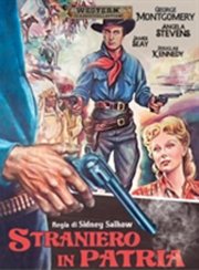 Locandina di Straniero in patria