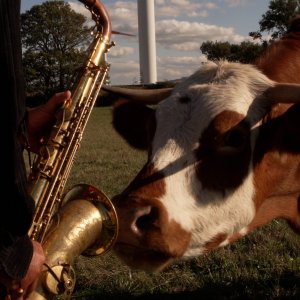 Naviganti: una sequenza