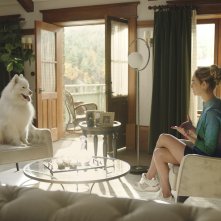 Upload 2: un'immagine della serie