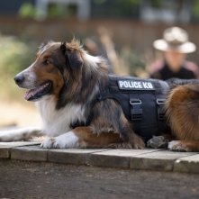 Agente Speciale Ruby: una sequenza del film