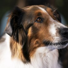 Agente Speciale Ruby: un'immagine del film