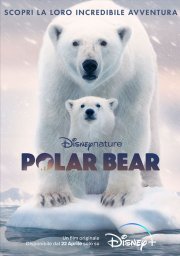 Locandina di Polar Bear