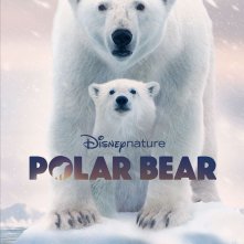 Locandina di Polar Bear