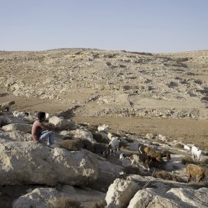 Sarura: una scena del film