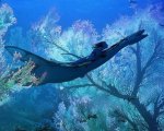 Avatar 2, la prima immagine del film condivisa dalla Fox