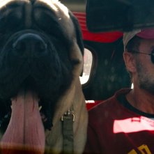 Ambulance: una scena del film