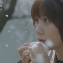 Il mio amore è un fiore di ciliegio: un'immagine del film