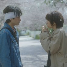 Il mio amore è un fiore di ciliegio: un momento del film