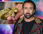 Nicolas Cage ha dovuto donare il suo serpente a due teste ad uno zoo (FOTO)