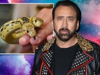 Nicolas Cage ha dovuto donare il suo serpente a due teste ad uno zoo (FOTO)