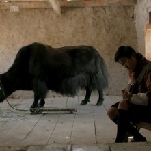 Lunana: Il villaggio alla fine del mondo, un momento del film
