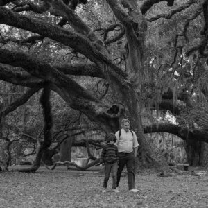 C'Mon C'Mon: Joaquin Phoenix e Woody Norman in una sequenza