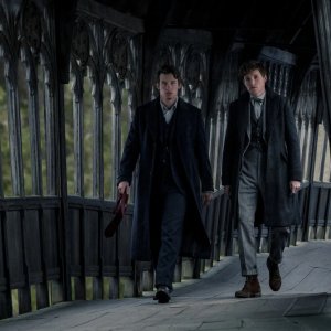 Animali Fantastici - I segreti di Silente: Callum Turner e Eddie Redmayne in una scena