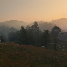 Brotherhood: una foto del film