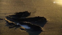 Prehistoric Planet - Trailer