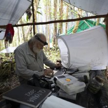 Last Tepui: Vette inesplorate, un'immagine del documentario