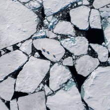 Polar Bear: una foto presa dall'altro