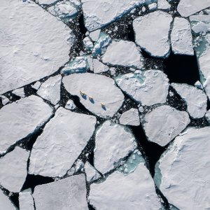 Polar Bear: una foto presa dall'altro