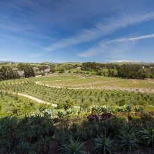 Ritorno alla fattoria dei nostri sogni: una foto del film
