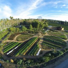Ritorno alla fattoria dei nostri sogni: un'immagine
