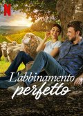 Locandina di L'abbinamento perfetto