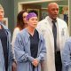 Grey's Anatomy 18: Jesse Williams e Sarah Drew tornano nei panni di Jackson e April