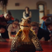 La scuola degli animali magici: una scena
