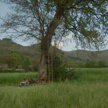 La tana: un momento del film