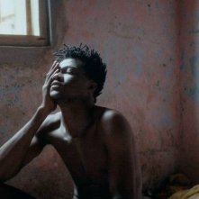 Only the Animals - Storie di spiriti amanti: una sequenza