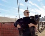 Joaquin Phoenix compra i diritti del libro Free the Animals, scritto dalla fondatrice di PETA