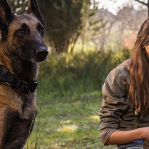 Dakota: un'immagine del film